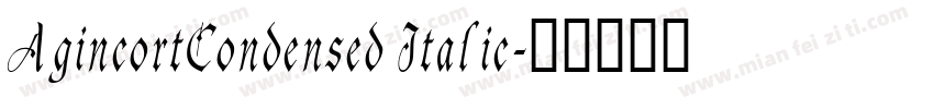 AgincortCondensed Italic字体转换